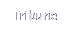 Tribune